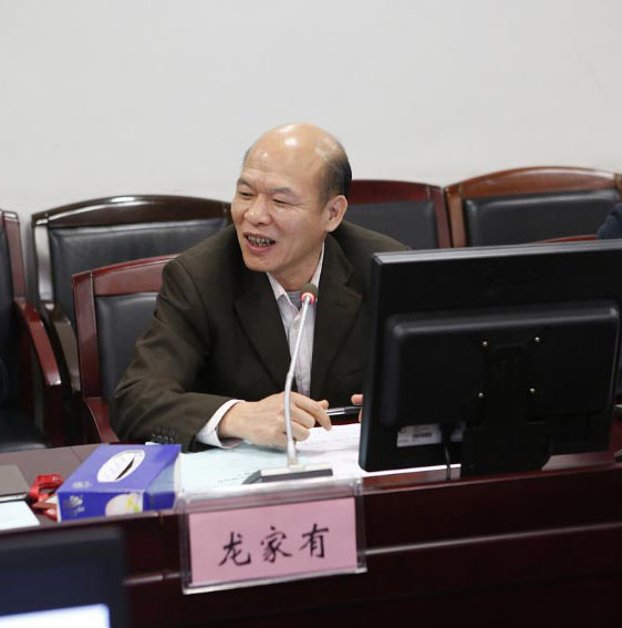 省文化和旅游厅党组成员龙家有在会上做总结发言