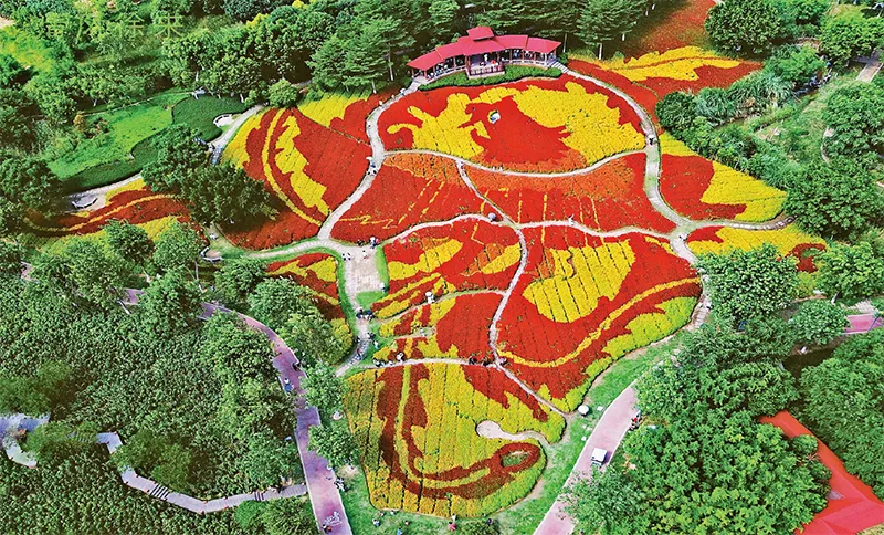 厦门致力于打造一座高颜值的生态花园之城