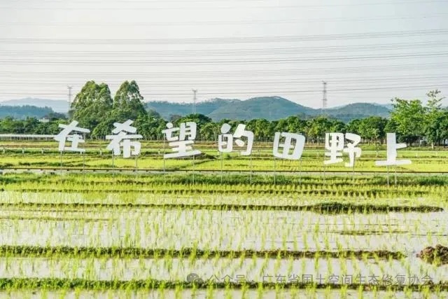 惠城全力推动全域土地综合整治4