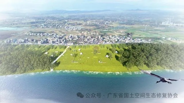 惠城全力推动全域土地综合整治4