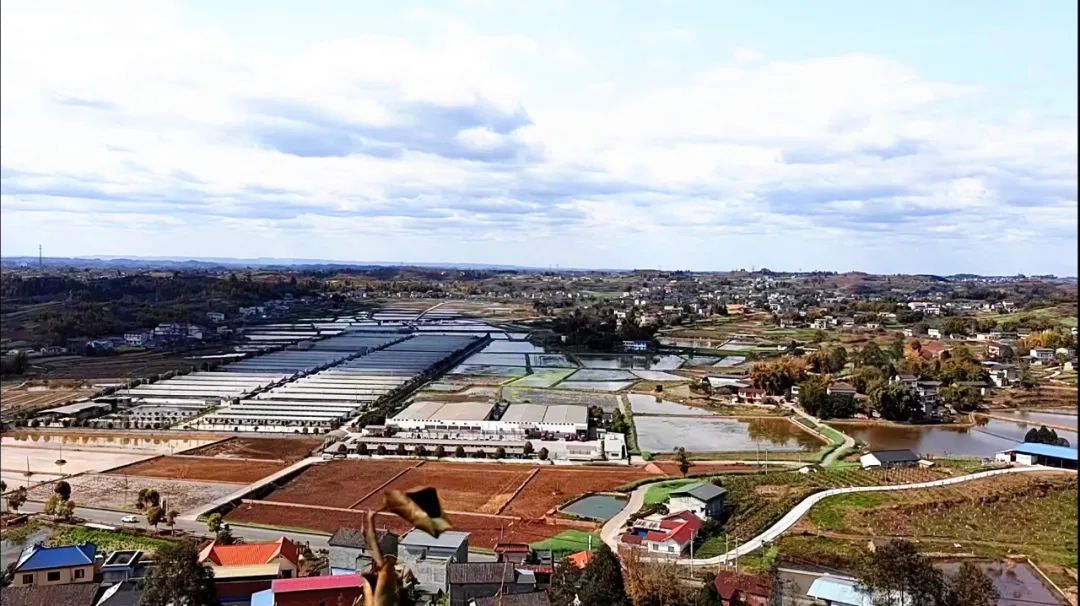 牛佛镇全域土地综合整治