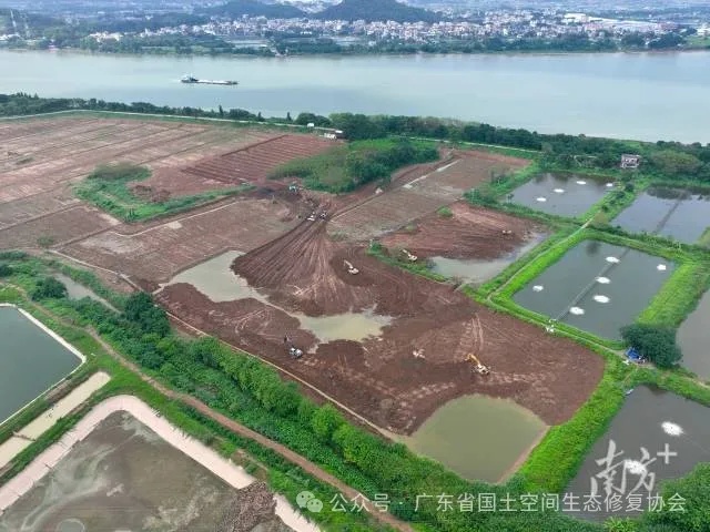 佛山杏坛全域土体综合整治2 佛山杏坛全域土体综合整治2