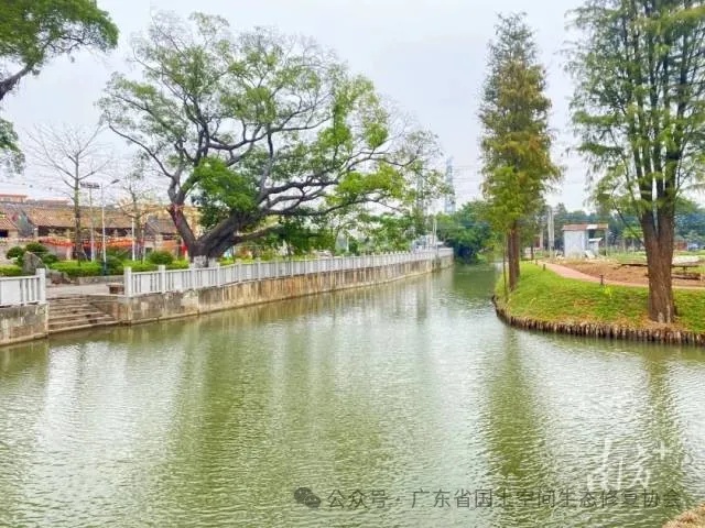 佛山杏坛全域土体综合整治3 佛山杏坛全域土体综合整治3