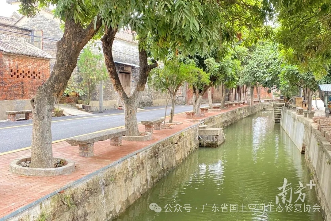 佛山杏坛全域土体综合整治4 佛山杏坛全域土体综合整治4