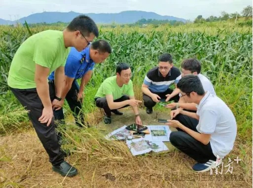和网格田长一起走进田间地头实地开展基层巡田实操培训。