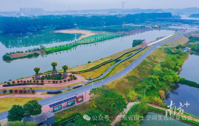 全域土地综合整治，佛山市南海区金沙湿地综合整治项目通过低效建设用地腾退，全面推进复垦复绿。