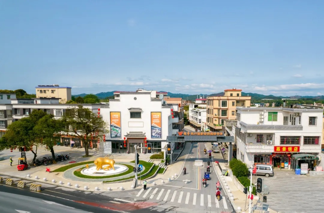 从化全域土地综合整治6