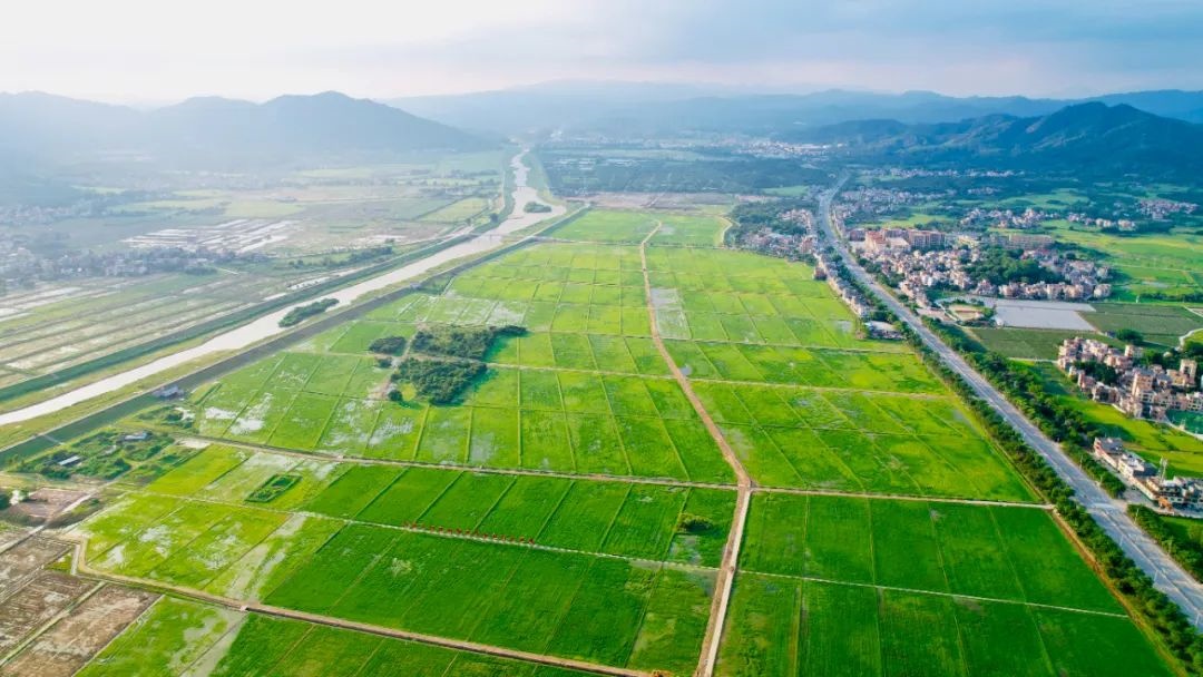 鳌头镇万亩良田示范片区