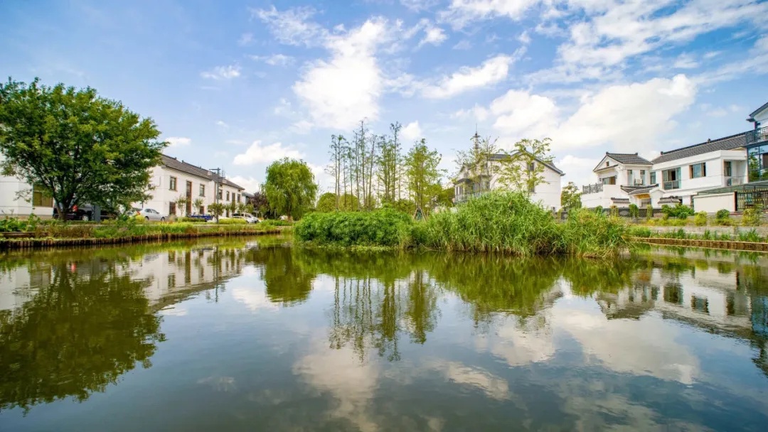  昆山市张浦镇金华村一瞥。昆山全域土地综合整治