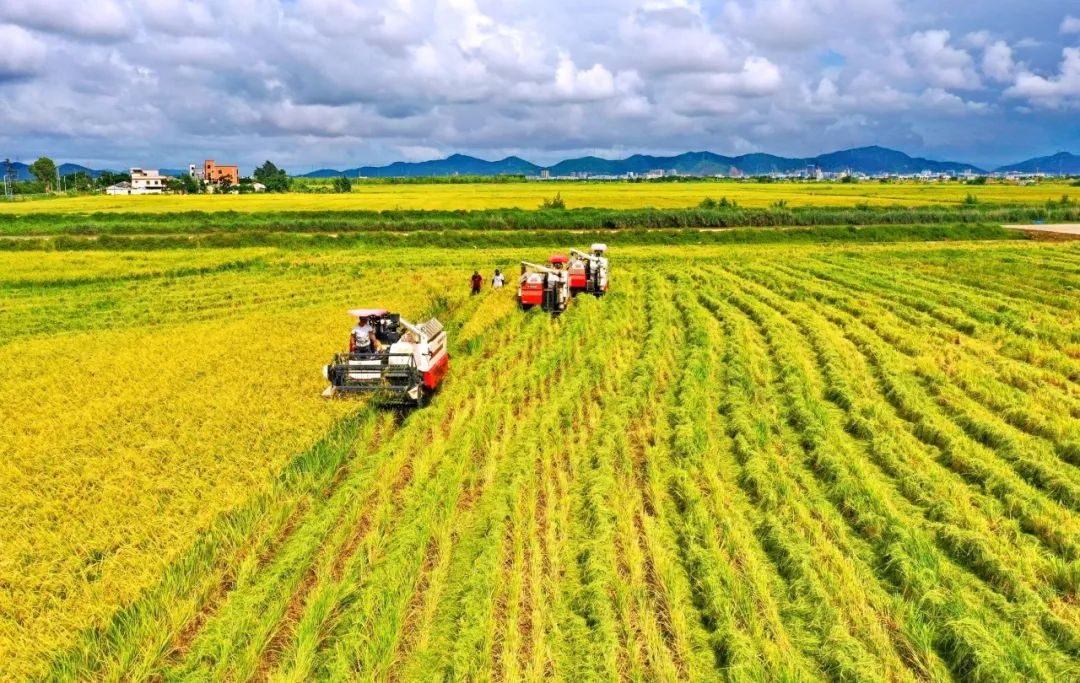 珠海全域土地综合整治1