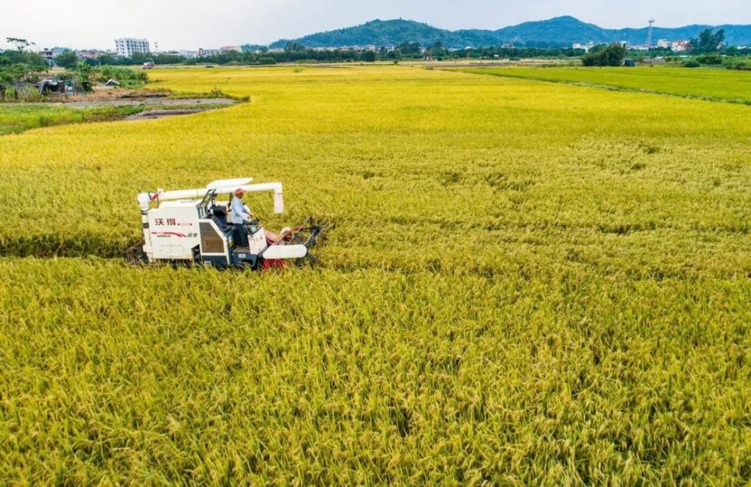 珠海全域土地综合整治2