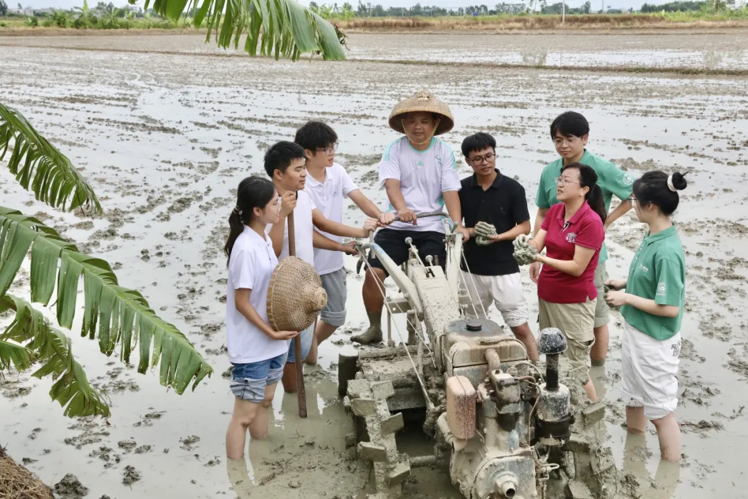  开展耕地保护座谈交流会下农田实地调研，了解麻演村耕地保护和种植情况。