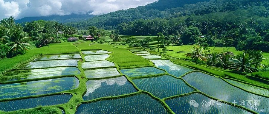 全域土地综合整治
