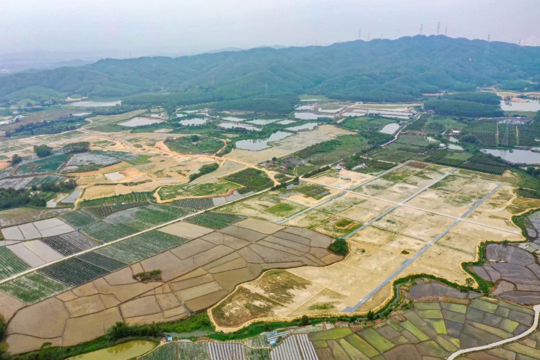 以全域土地综合整治助力广东“百千万工程”,全域土地综合整治3 以全域土地综合整治助力广东“百千万工程”,全域土地综合整治3