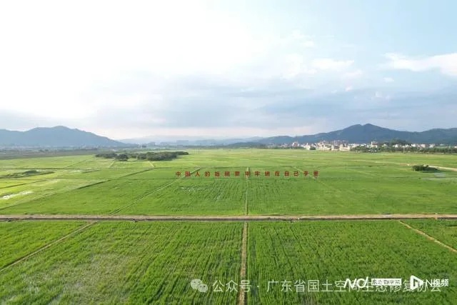 全域土地综合整治，从化鳌头万亩良田项目。