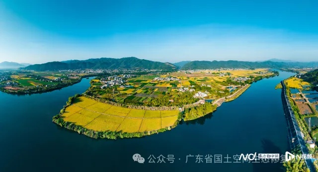 全域土地综合整治， 新铺镇丝苗米连片种植农田。