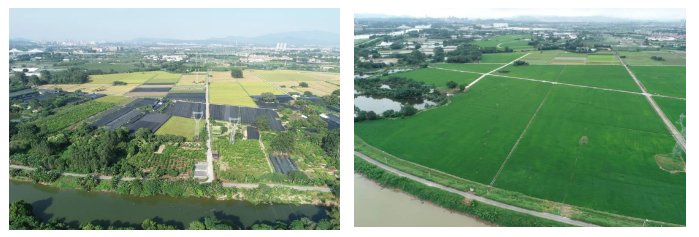 广州市增城区石滩镇全域土地综合整治