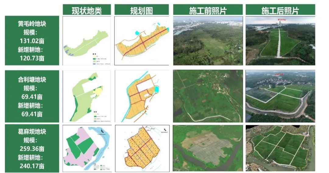 全域土地综合整治，湛江廉江全域土地综合整治1