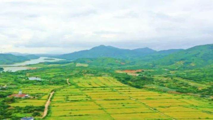 全域土地综合政治，汕尾陆丰全域土地综合整治2