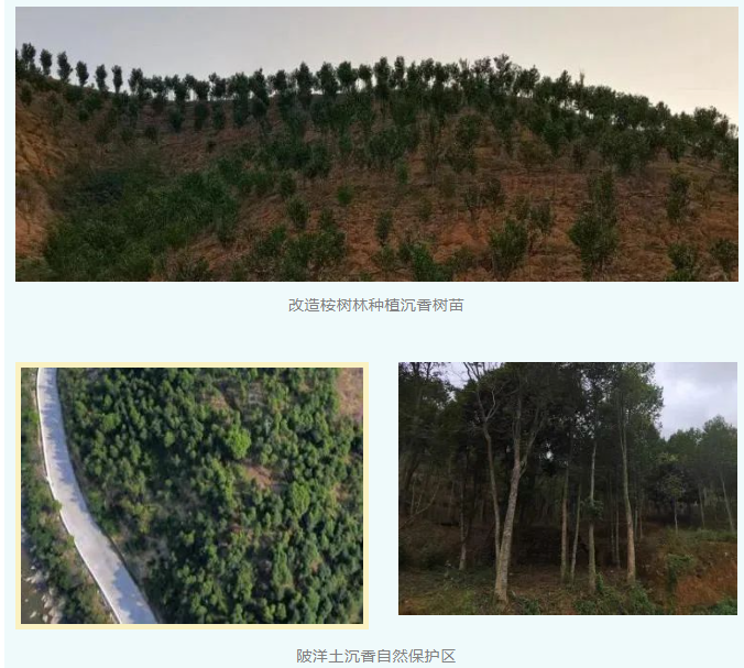 全域土地综合整治，汕尾陆丰全域土地综合整治9