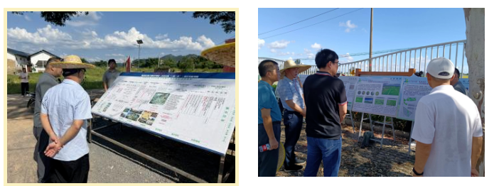 全域土地综合整治，广东全域土地综合整治3