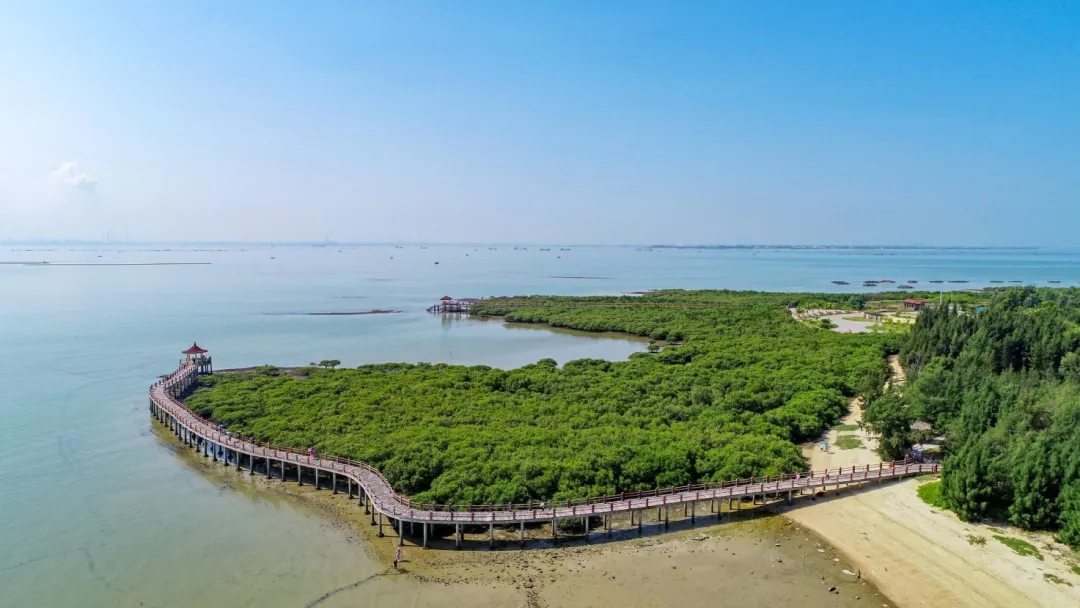 全域土地综合整治,广东全域土地综合整治,湛江全域土地综合整治3 全域土地综合整治,广东全域土地综合整治,湛江全域土地综合整治3