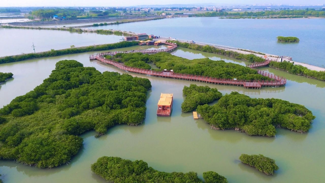 全域土地综合整治,广东全域土地综合整治,湛江全域土地综合整治4 全域土地综合整治,广东全域土地综合整治,湛江全域土地综合整治4