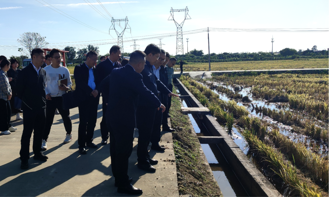 全域土地综合整治，广州全域土地综合整治，广东全域土地综合整治4