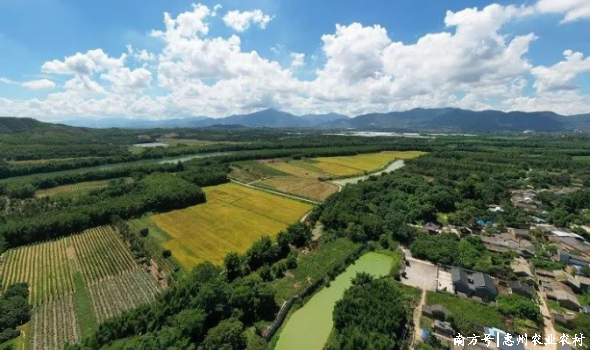 全域土地综合整治,惠东全域土地综合整治,白花镇全域土地综合整治,高埠村全域土地综合整治,广东全域土地综合整治1 全域土地综合整治,惠东全域土地综合整治,白花镇全域土地综合整治,高埠村全域土地综合整治,广东全域土地综合整治1