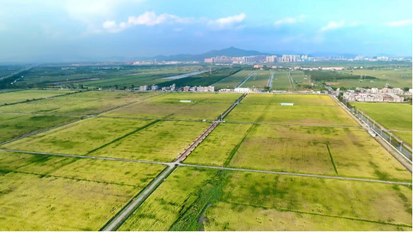 全域土地综合整治,广东全域土地综合整治,珠海全域土地综合整治,耕地保护,广东耕地保护,珠海耕地保护 全域土地综合整治,广东全域土地综合整治,珠海全域土地综合整治,耕地保护,广东耕地保护,珠海耕地保护