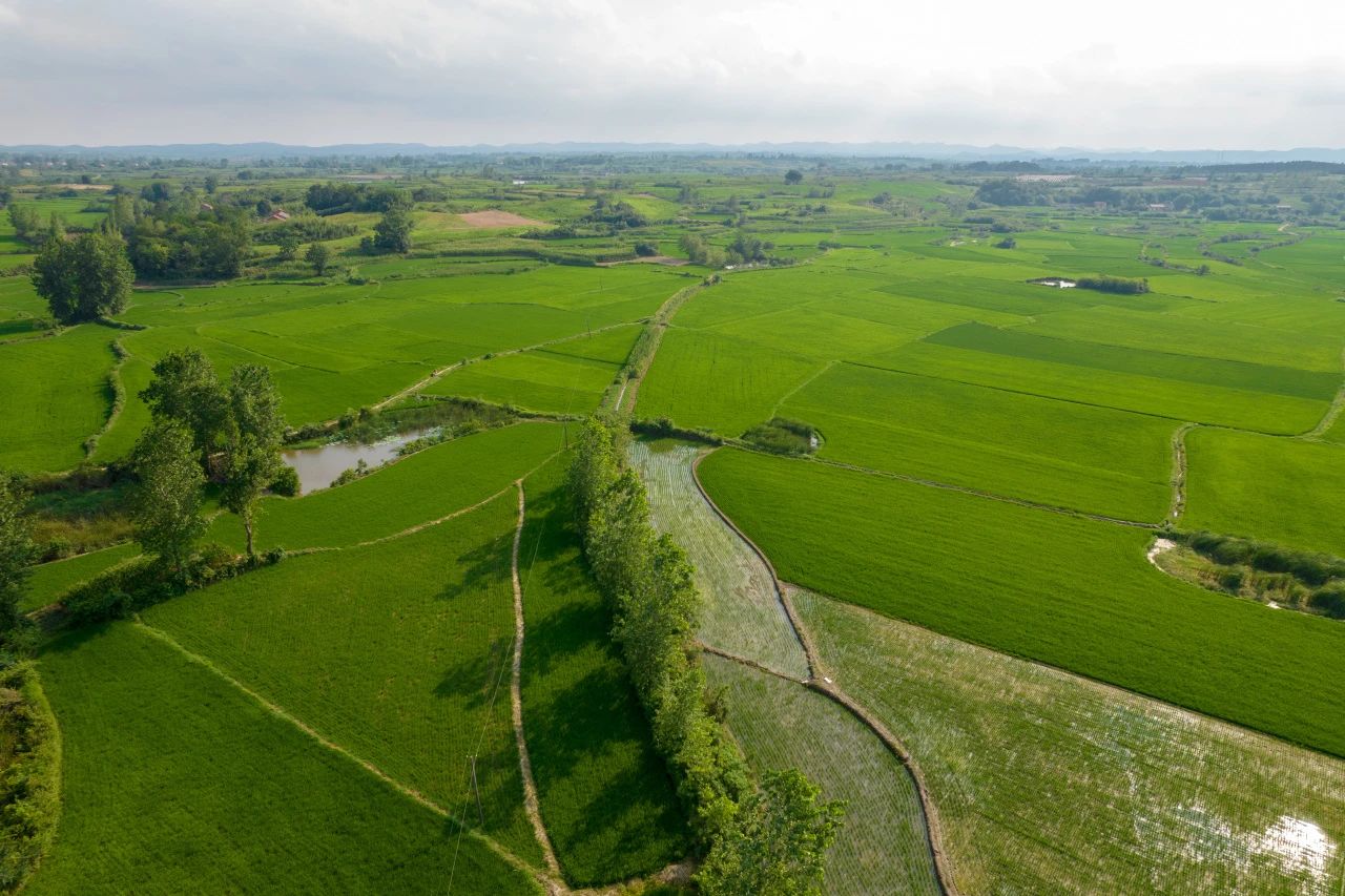 全域土地综合整治,广东全域土地综合整治4 全域土地综合整治,广东全域土地综合整治4