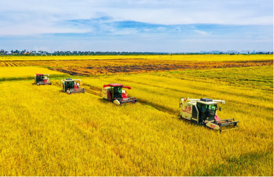 全域土地综合整治，湛江全域土地综合整治，广东全域土地综合整治1