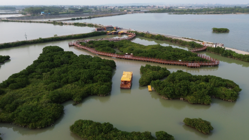 全域土地综合整治，湛江全域土地综合整治，广东全域土地综合整治4