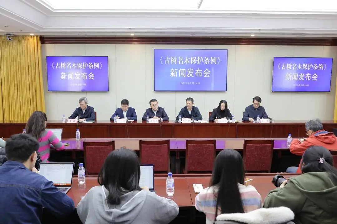 全域土地综合整治,古树名木,古树名木保护,广东全域土地综合整治,广东古树名木保护 全域土地综合整治,古树名木,古树名木保护,广东全域土地综合整治,广东古树名木保护