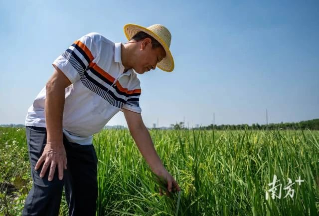 田长制,广东田长制,广州田长制,全域土地综合整治,广东全域土地综合整治1 田长制,广东田长制,广州田长制,全域土地综合整治,广东全域土地综合整治1