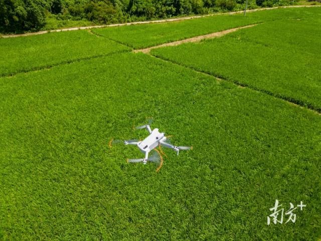 田长制,广东田长制,广州田长制,全域土地综合整治,广东全域土地综合整治3 田长制,广东田长制,广州田长制,全域土地综合整治,广东全域土地综合整治3