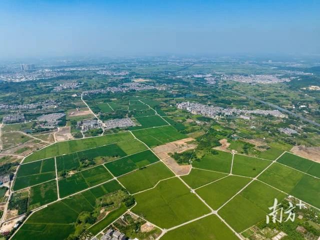 田长制,广东田长制,广州田长制,全域土地综合整治,广东全域土地综合整治5 田长制,广东田长制,广州田长制,全域土地综合整治,广东全域土地综合整治5