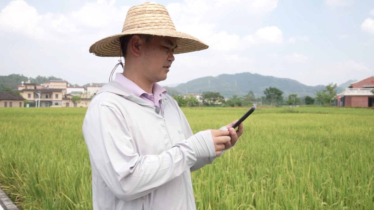 全域土地综合整治，清远全域土地综合整治，佛冈全域土地综合整治，田长制，清远田长制，佛冈田长制1