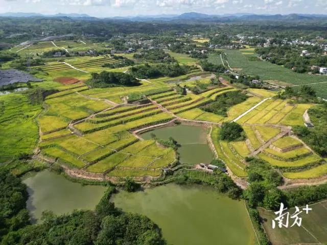 全域土地综合整治,兴宁全域土地综合整治,合水镇全域土地综合整治1 全域土地综合整治,兴宁全域土地综合整治,合水镇全域土地综合整治1