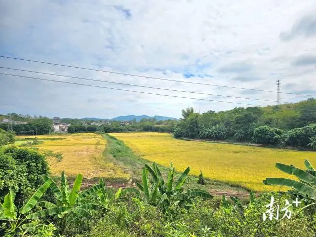 全域土地综合整治，兴宁全域土地综合整治，合水镇全域土地综合整治2