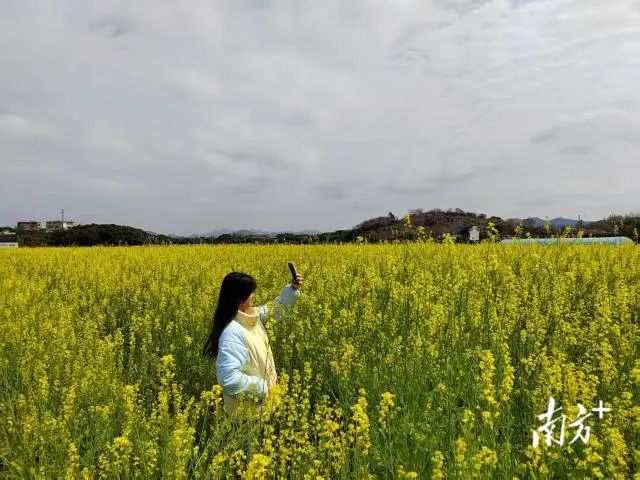 全域土地综合整治，兴宁全域土地综合整治，合水镇全域土地综合整治4