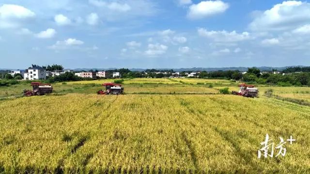 全域土地综合整治，兴宁全域土地综合整治，合水镇全域土地综合整治6