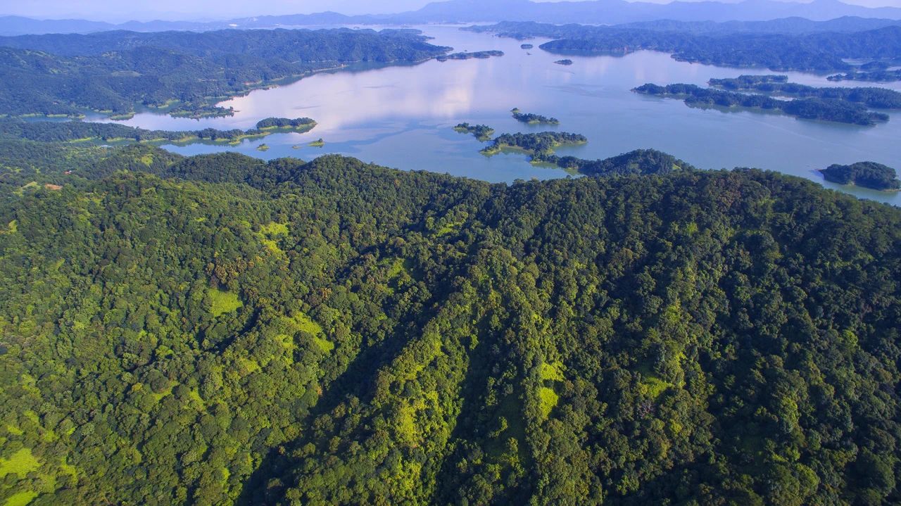 全域土地综合整治，河源全域土地综合整治2
