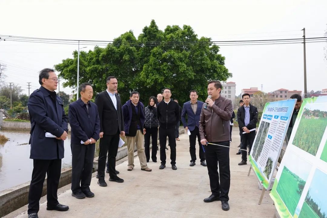 全域土地综合整治，佛山全域土地综合整治，南海全域土地综合整治2