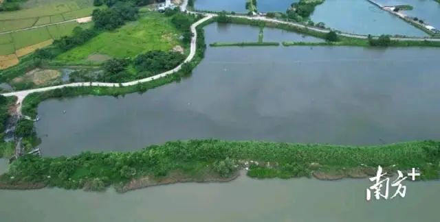 全域土地综合整治，阳江全域土地综合整治2