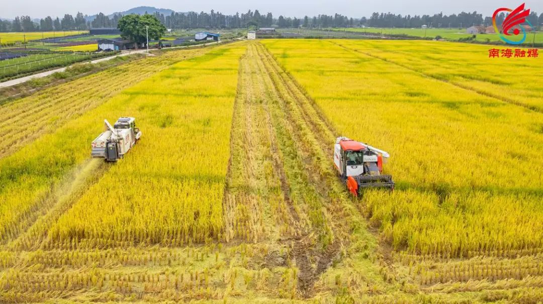 全域土地综合整治，南海全域土地综合整治5