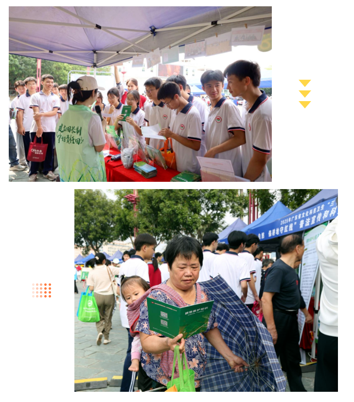 全域土地综合整治，广东全域土地综合整治，五邑全域土地综合整治，耕地保护，五邑耕地保护4