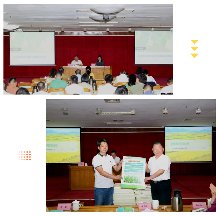 全域土地综合整治，广东全域土地综合整治，五邑全域土地综合整治，耕地保护，五邑耕地保护8