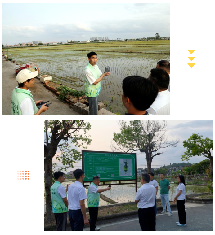 全域土地综合整治，广东全域土地综合整治，五邑全域土地综合整治，耕地保护，五邑耕地保护10