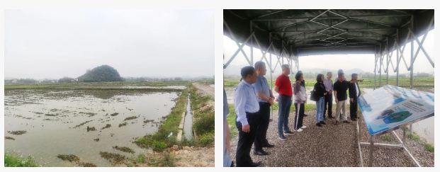 全域土地综合整治，惠州全域土地综合整治，龙门全域土地综合整治1